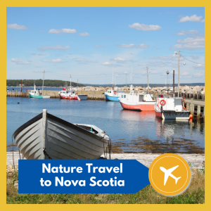 VIRTUAL -- Nature Travel To Nova Scotia: Enjoy a virtual visit to our neighbor to the North, free and open to all