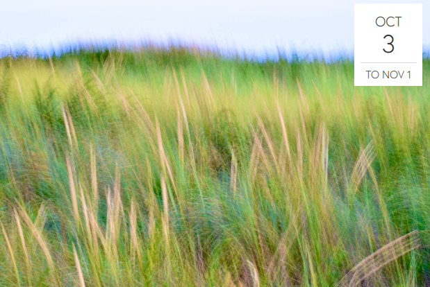 Vibrant Flow: Paintings and Photographs of The Great Marsh: A featured artist exhibit by Karen Futral. 