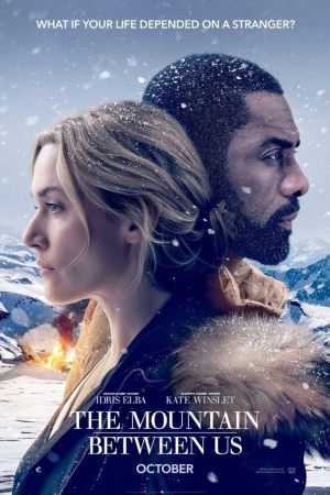 Movie Matinee: The Mountain Between Us, free and open to all