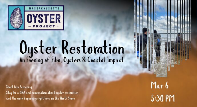 Oyster Restoration – A Film & Speaker Series: An Evening of Film, Oysters & Coastal Impact - Join Mass Oyster Project for a special evening on the North Shore celebrating oyster restoration and marine conservation.