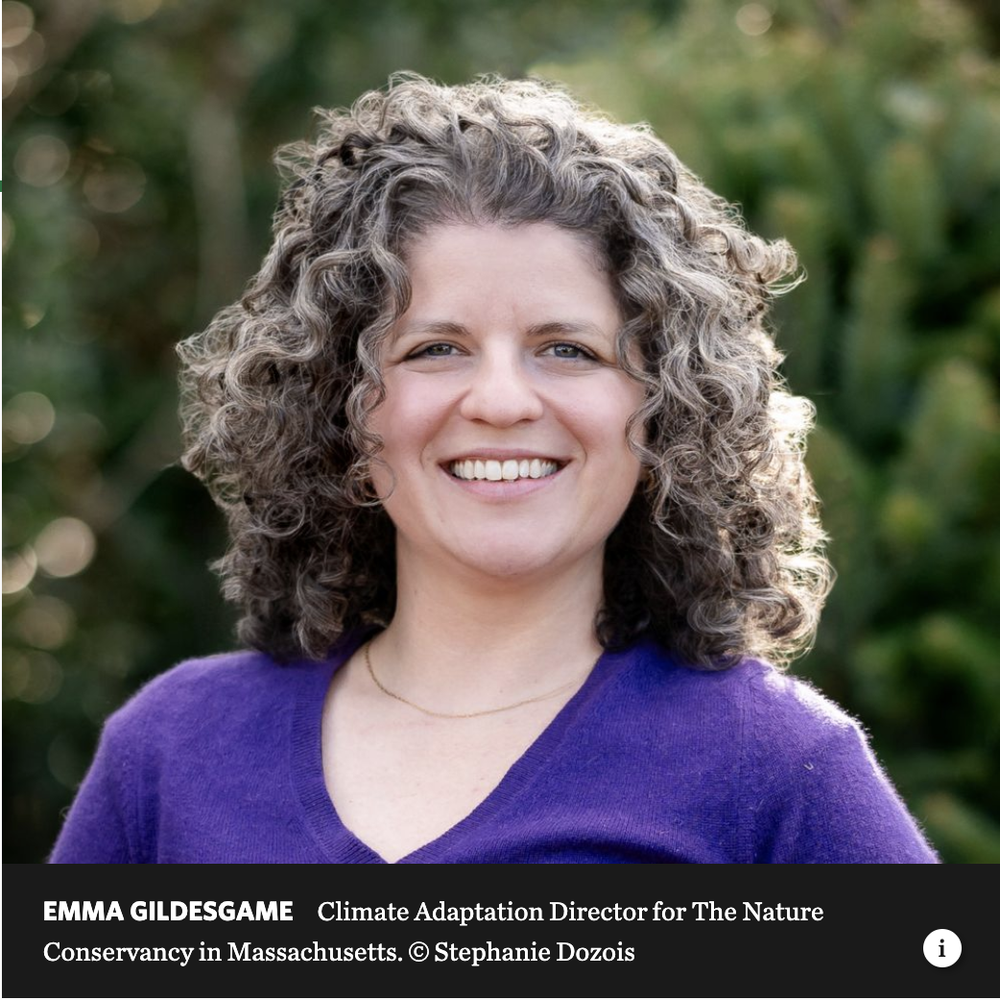 Making Space for Water: Reimagining Our Relationship to the Coast: How can coastal communities stay safe as sea levels rise. Speaker: Emma Gildesgame, Climate Adaptation Director, The Nature Conservancy (Newburyport Senior/Community Center)