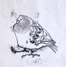 Trace Monotype with Chris Robinson: In this workshop you will learn how to do this process at home using non toxic inks and soap/water cleanup. NO press is required.