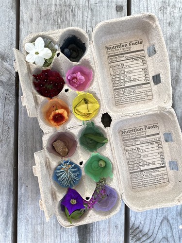 Thursday Discovery STEAM Days at Cider Hill Farm: This 50-minute weekly summer class is led by a local educator. Each week on the farm brings something fun and engaging where young explorers investigate a crop or animal on the farm!