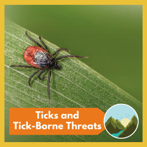 VIRTUAL -- Ticks and Tick-Borne Threats -- a lecture by Dr. Stephen Rich, UMass Microbiology professor and director of the Laboratory of Medical Zoology, free and open to all!
