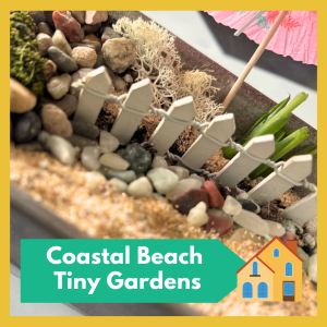 Coastal Beach Tiny Gardens -- create your own serene miniature landscape inspired by sand, sea, and driftwood, free and open to all!