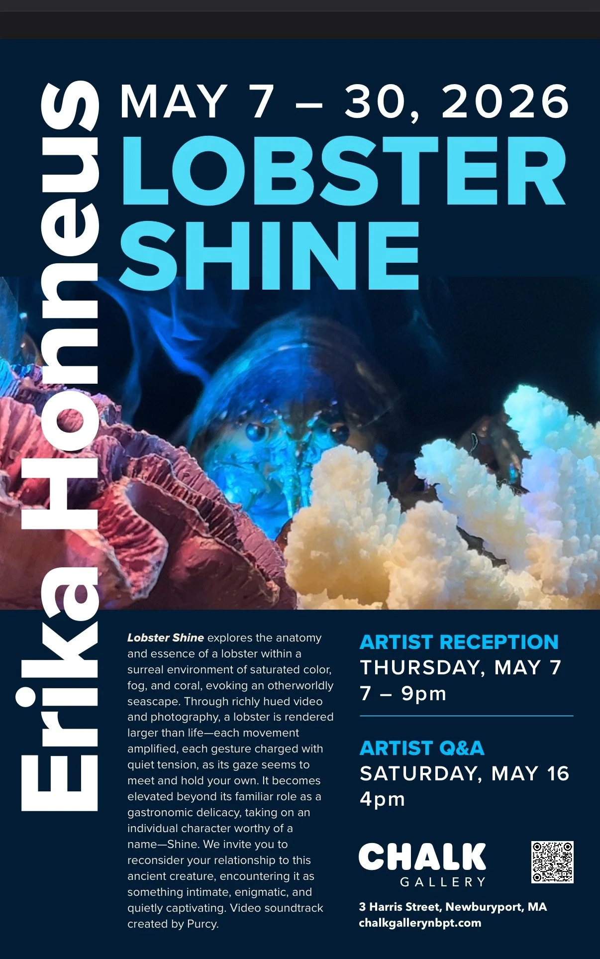 LobsterShine A solo exhibition  with Erika Honneus: Artists Q&A Saturday May 16, 4pm  Everybody welcome.