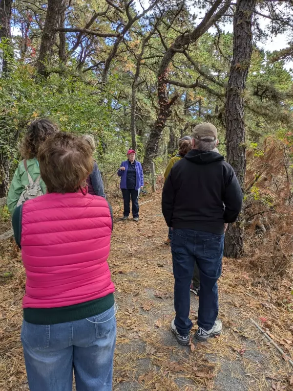 Evening Pines Trail Ranger Walk: Join refuge staff on a walk at the Pines Trail as the sun begins to set.