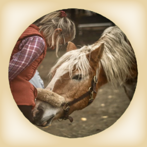 Introduction To Stillness With Horses – Summer 26: A restorative 2-hour guided experience with Jen Wright, PATH Certified Equine Specialist in Mental Health and Learning (Fair Winds Farm, 14 Kimball Road, West Newbury)