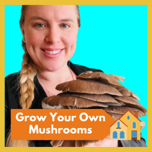 Grow Your Own Oyster Mushrooms with Heather from Little Room Mushrooms! Learn all about the growing process and leave with your own grow bag plus delicious recipes -- Free and open to all