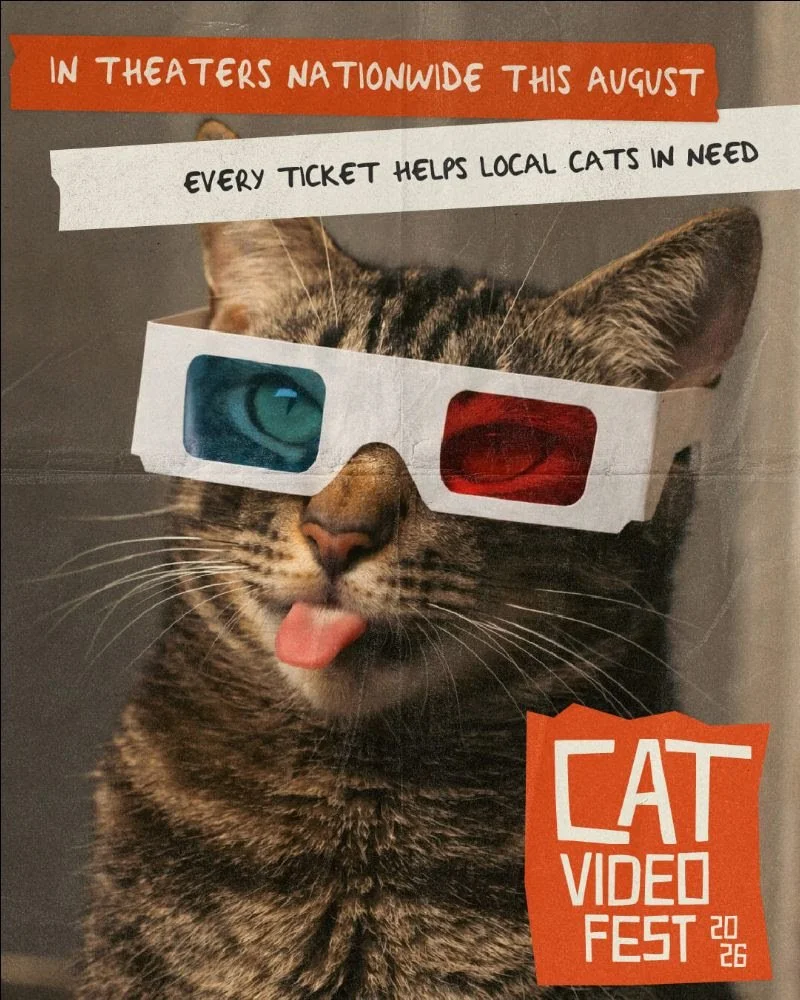 Film -- "CatVideoFest" -- a joyous, communal, theatrical experience featuring the latest and best cat videos, while raising money for cats in need (no showing Monday, 9/7)