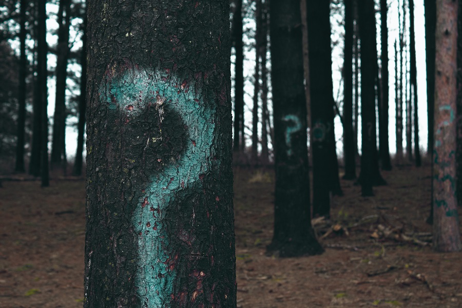 What Will You Generate?