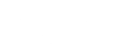 Anatomia Aplicada: Artérias e Veias