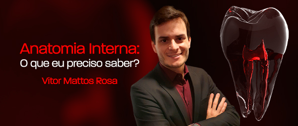 Anatomia Interna: O Que eu Preciso Saber?