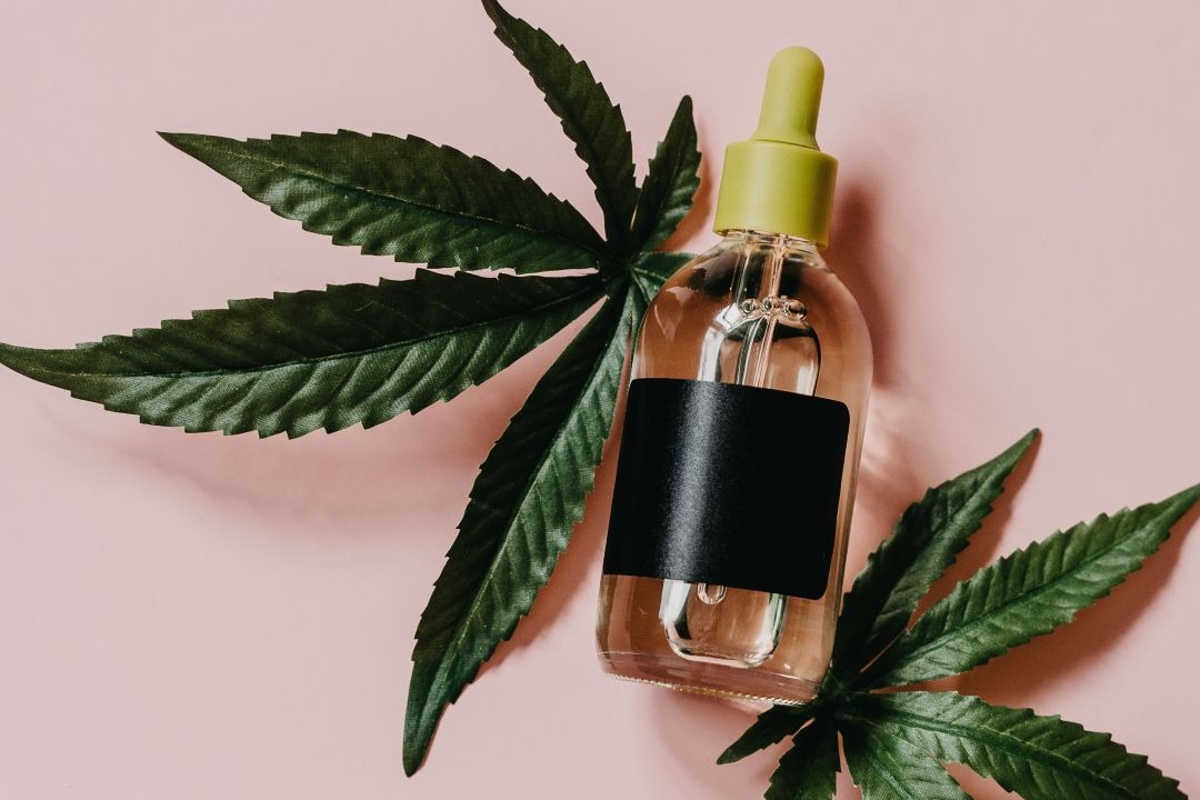 Imagem de óleo de CBD e planta Cannabis