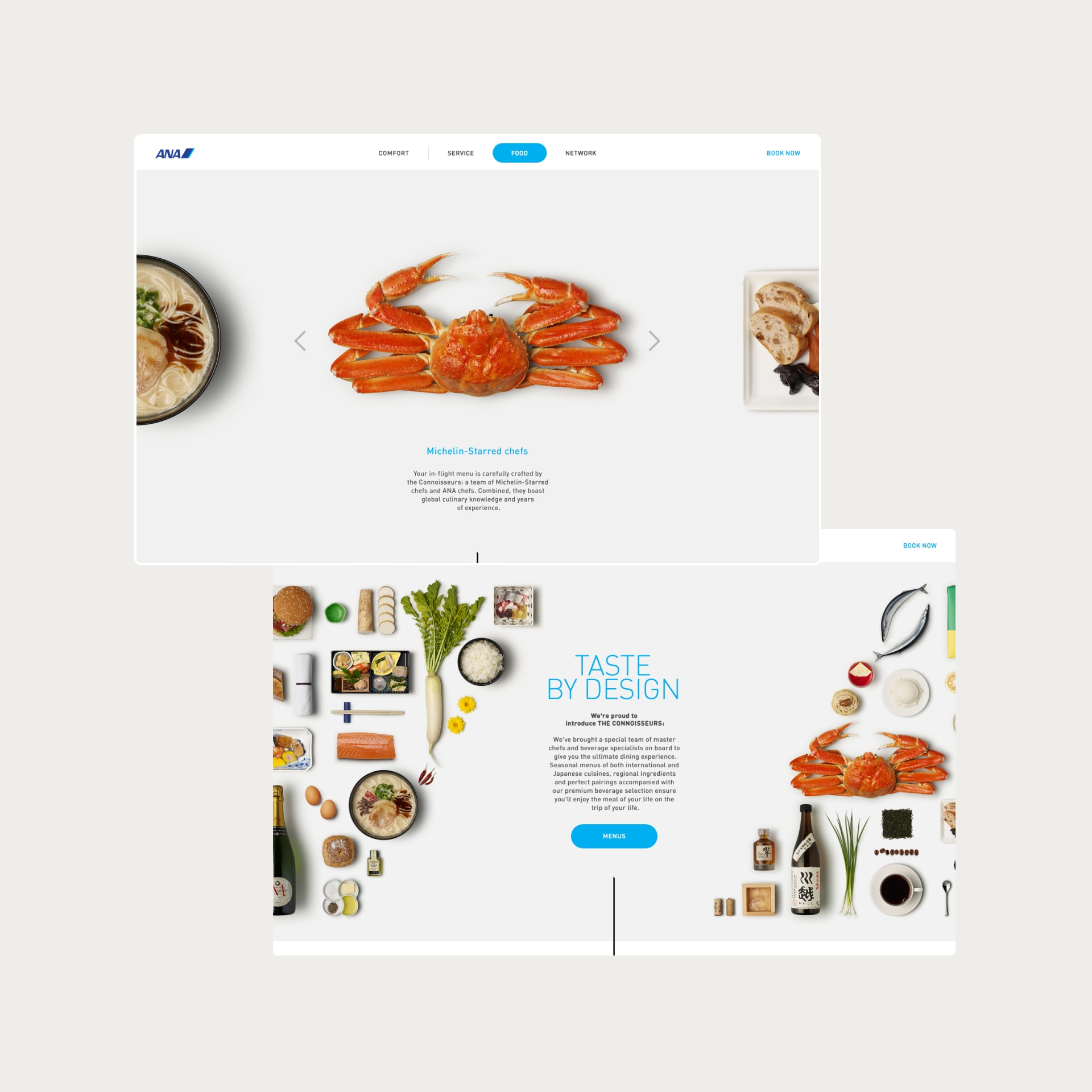 Overview of website menu section