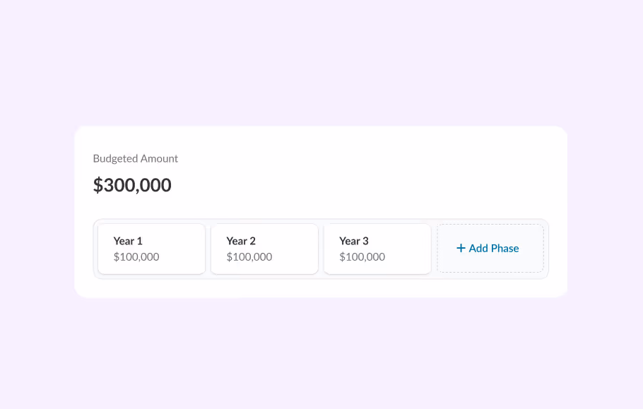 Budgeted Amount section showing a total of $300,000 divided into three phases: Year 1 with $100,000, Year 2 with $100,000, Year 3 with $100,000, and an option to add another phase.