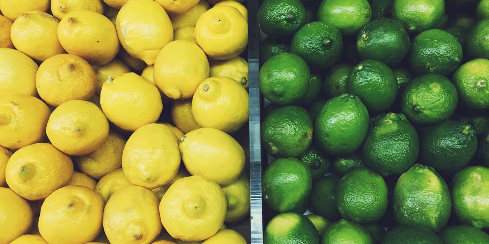 B2B-Marketing und Vertrieb: Mauern zwischen Marketing und Vertrieb ein - Feedback