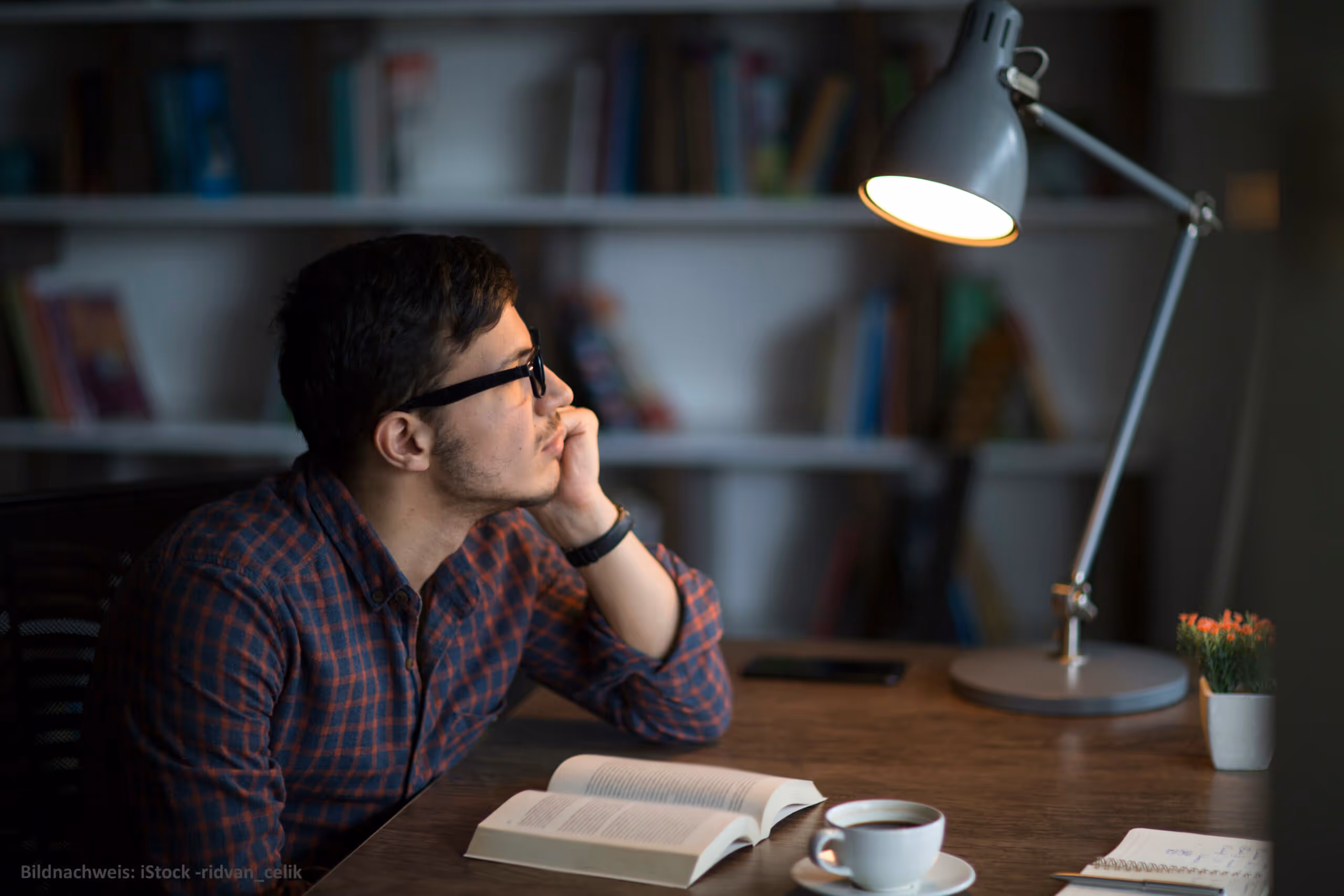 THANK YOU! Danke für die bisherigen Rezensionen!