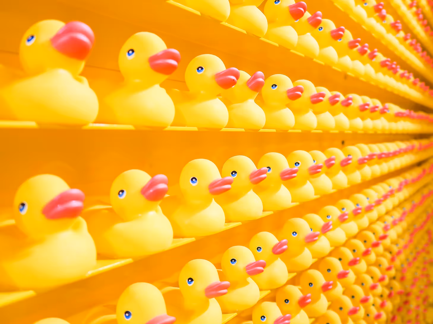 Überleben in gesättigten Märkten