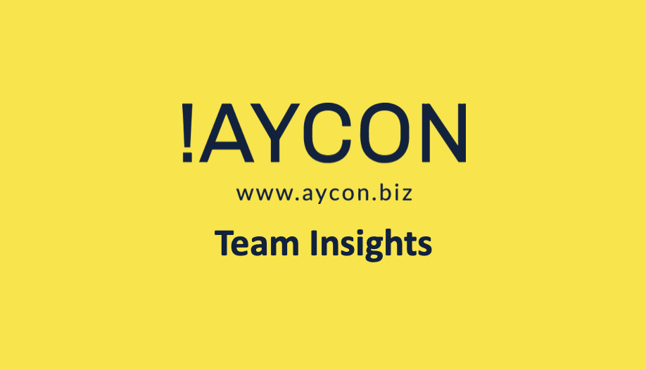 AYCON Team Insights Constanze