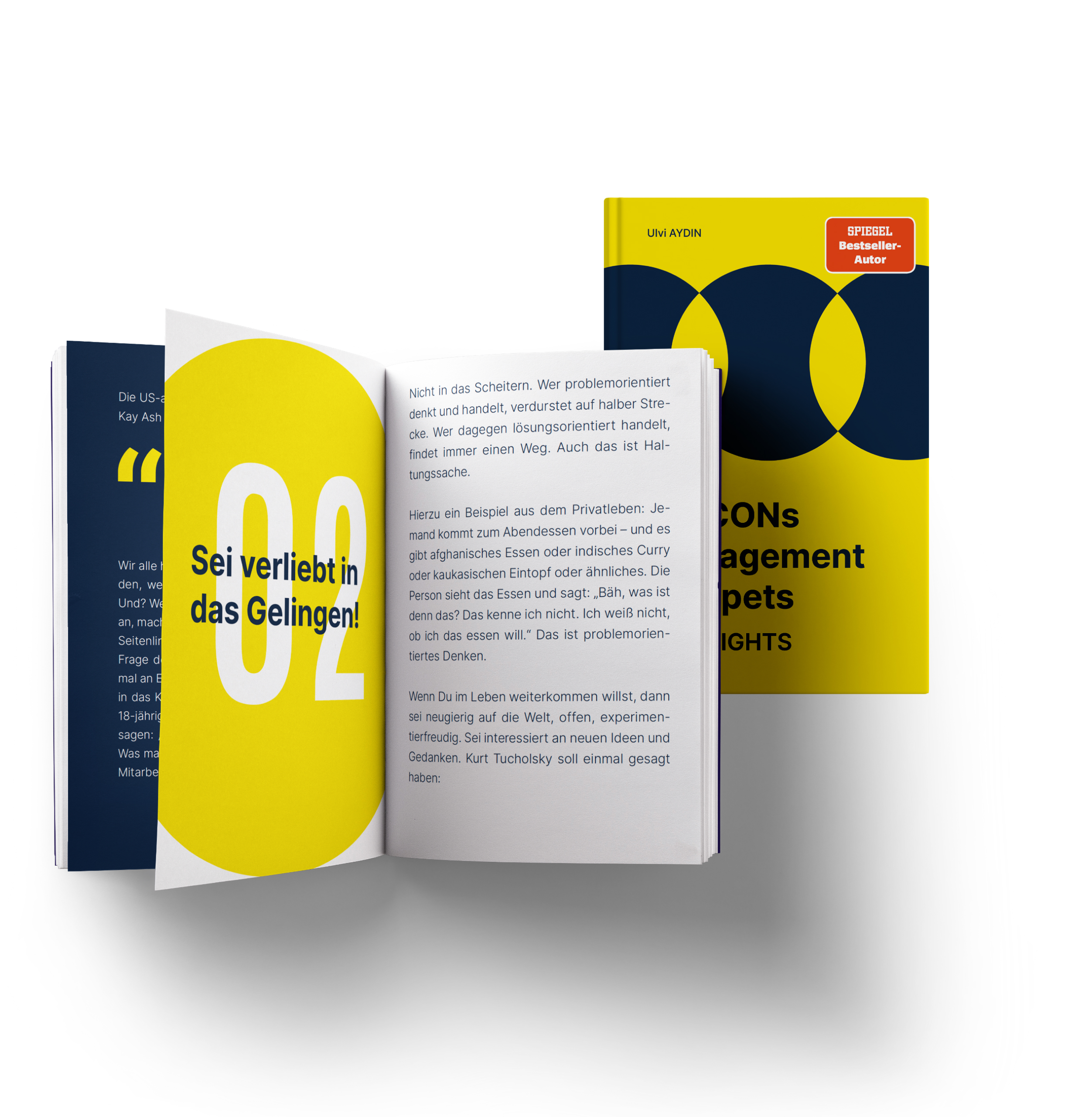 AYCONs Management Snippets 1:1 Insights
