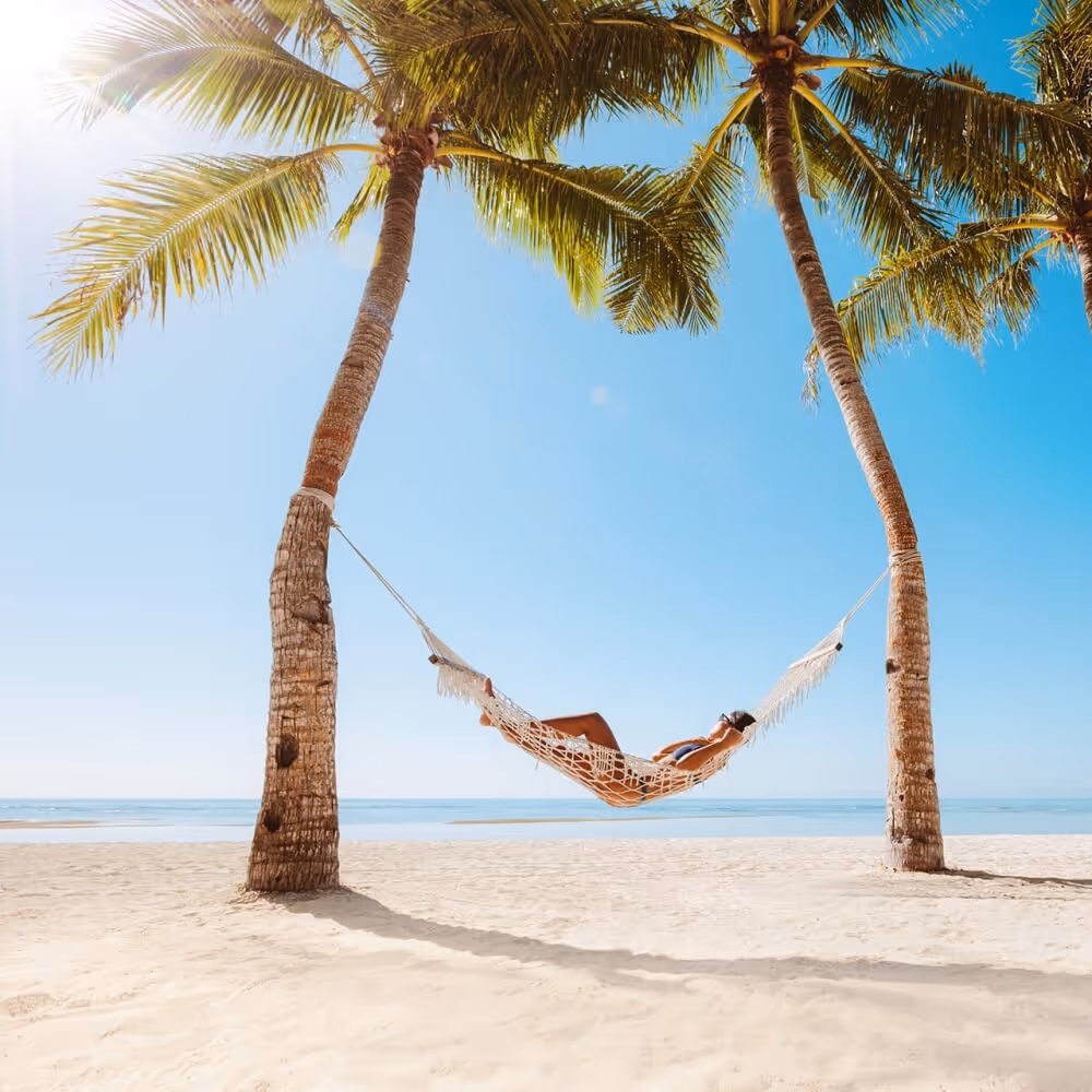 Person on a hammock between two palm trees