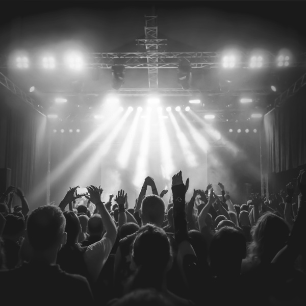 Group of people at a concert