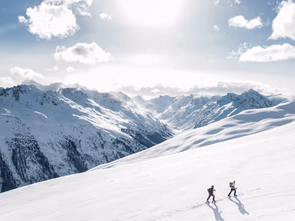 Illustration pour les éditions Paulsen