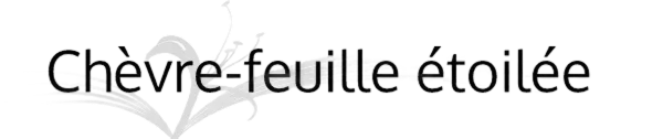 Éditions Chèvre-feuille étoilée