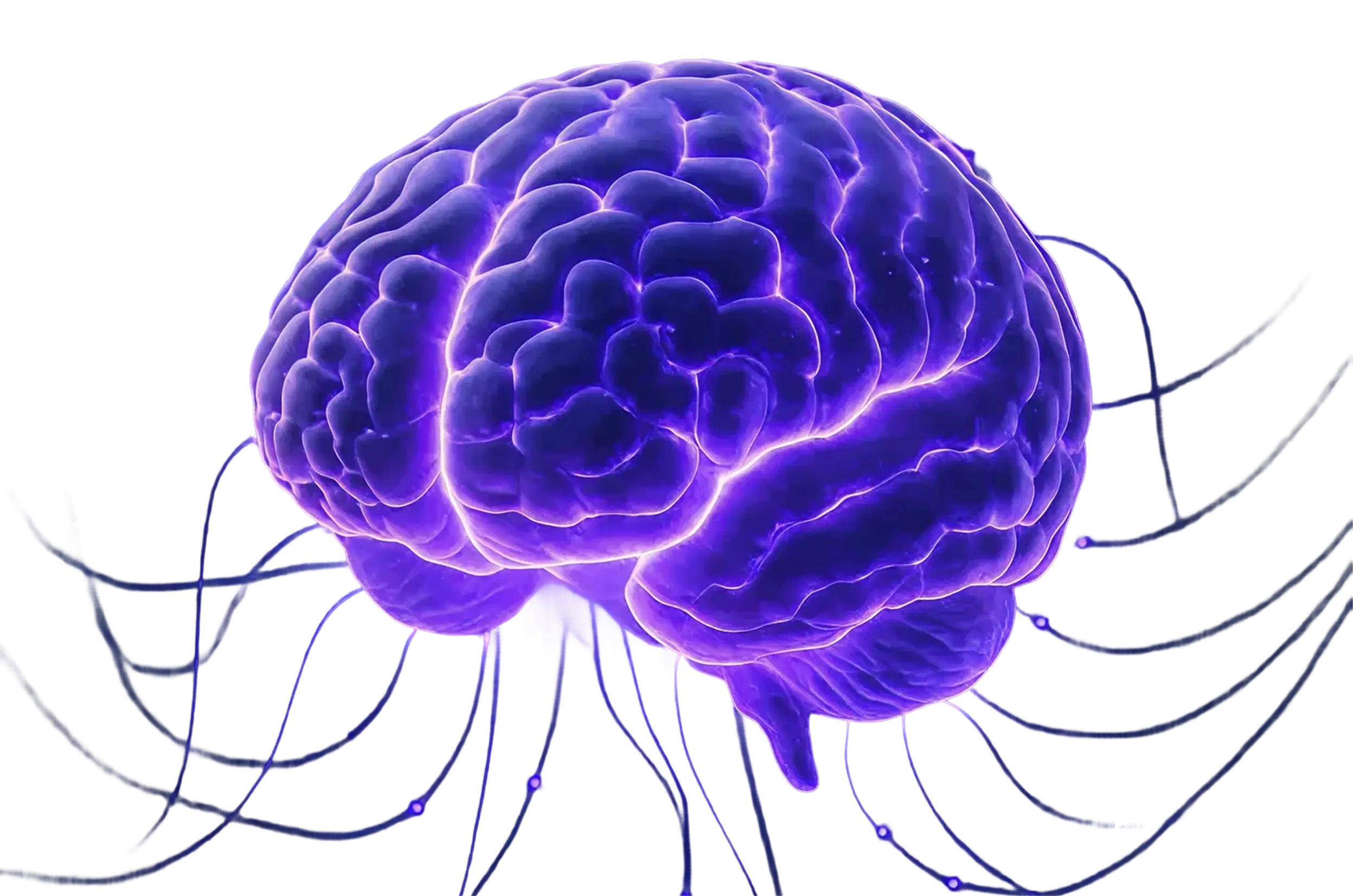 HR Brain