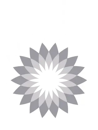 BP