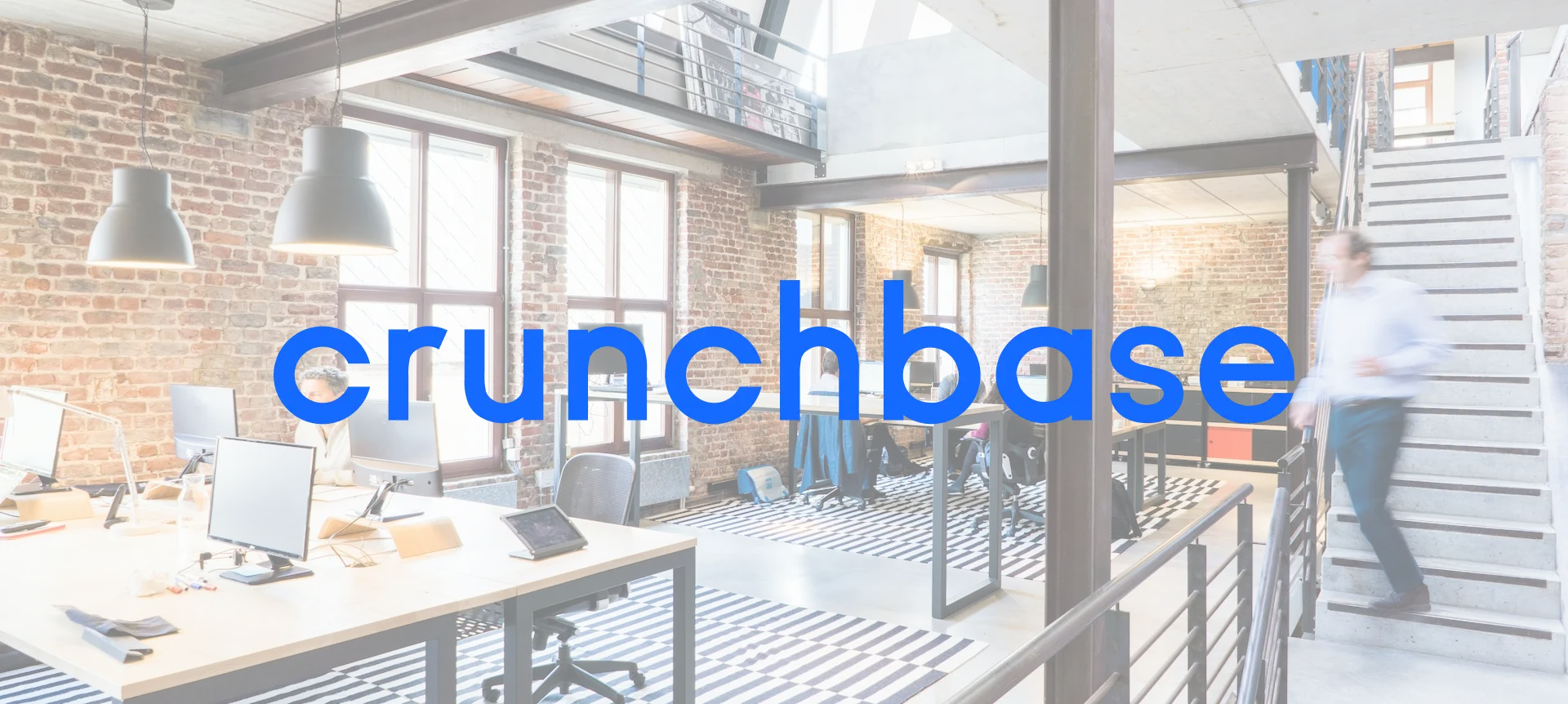 Crunchbase Reaches 95% Cumulative Engagement Rate With User-Friendly Benefits