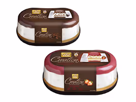 Carte D’Or Creation Ice Cream Cake