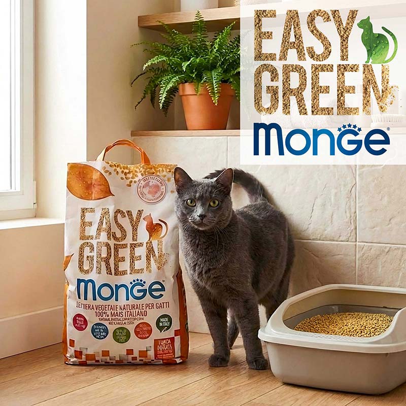 Monge Lettiera Easy Green
