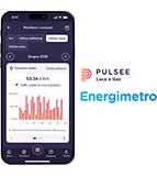 Pulsee Energimetro
