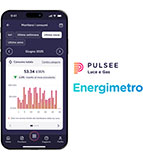 Pulsee Energimetro