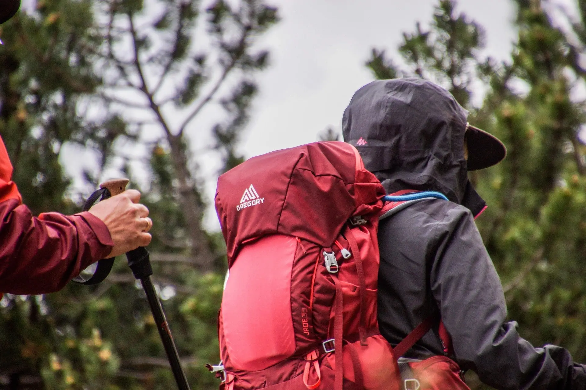 A hiker wearing a black rain jacket and a red backpack, holding a trekking pole, is seen from the side against a backdrop of pine trees. The overcast sky and their rain gear suggest a rainy day in the forest.