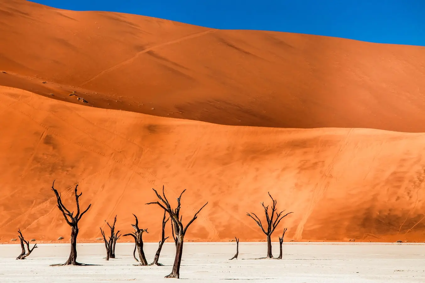 Famous salt pan of Sossusvlei, in a valley between the dunes in the Namib-Naukluft Park in Namibia