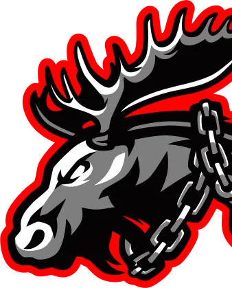 201 Service Maine Moose