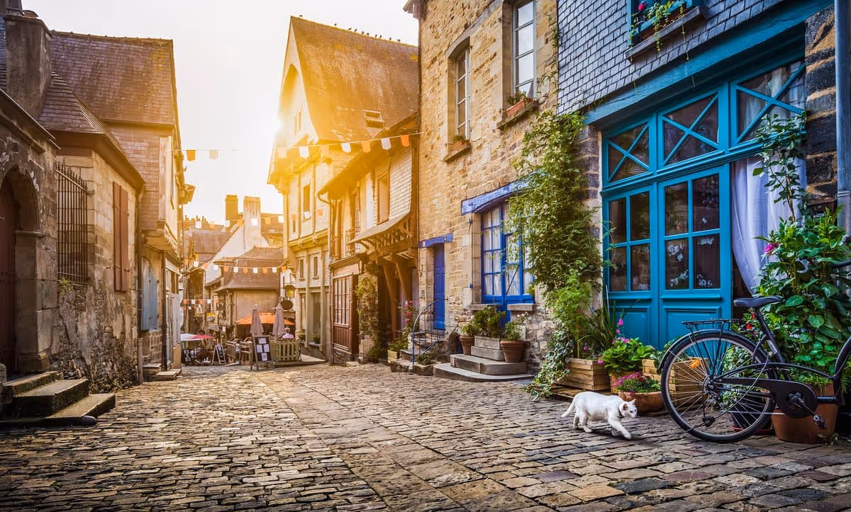 Ruelle pavée pittoresque d’un village médiéval en France avec maisons à colombages, plantes fleuries et chat blanc au petit matin.