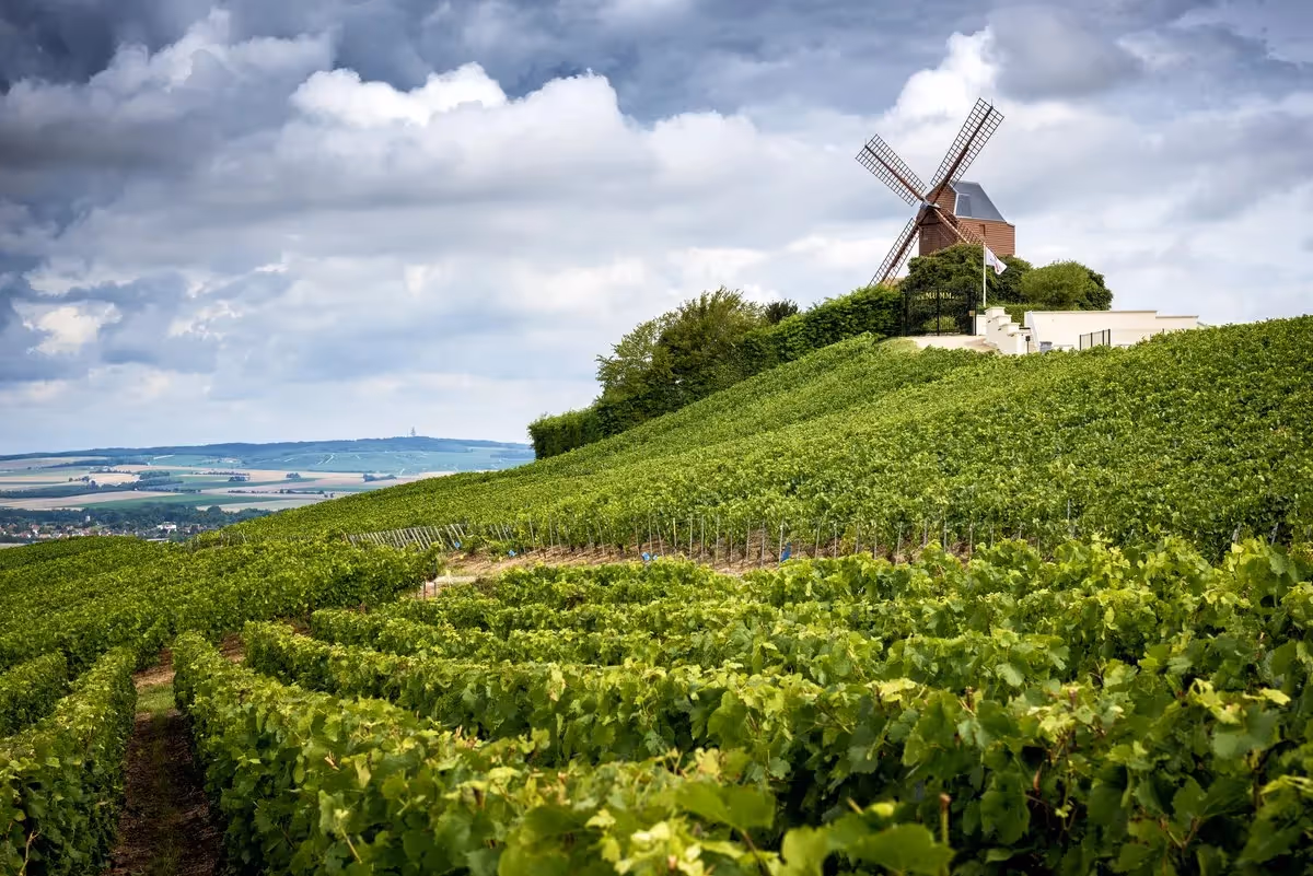 Vignoble vallonné de Bourgogne avec un moulin traditionnel sous un ciel nuageux.