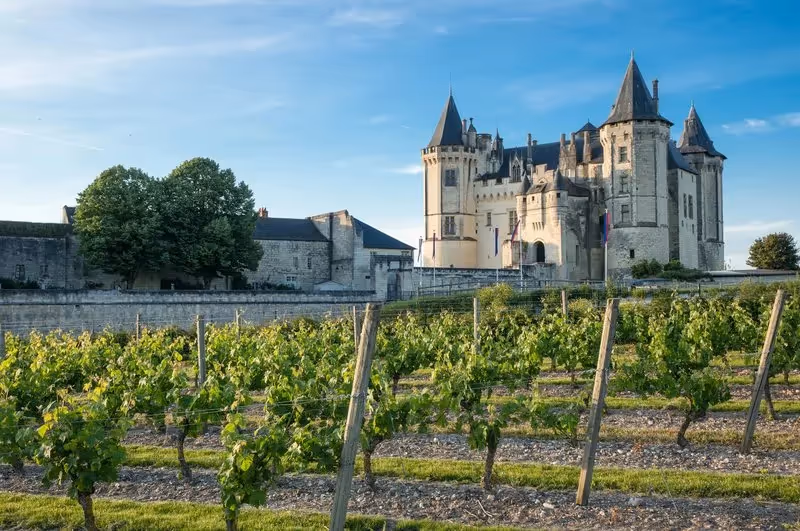 Château de la Loire entouré de vignes au soleil couchant.