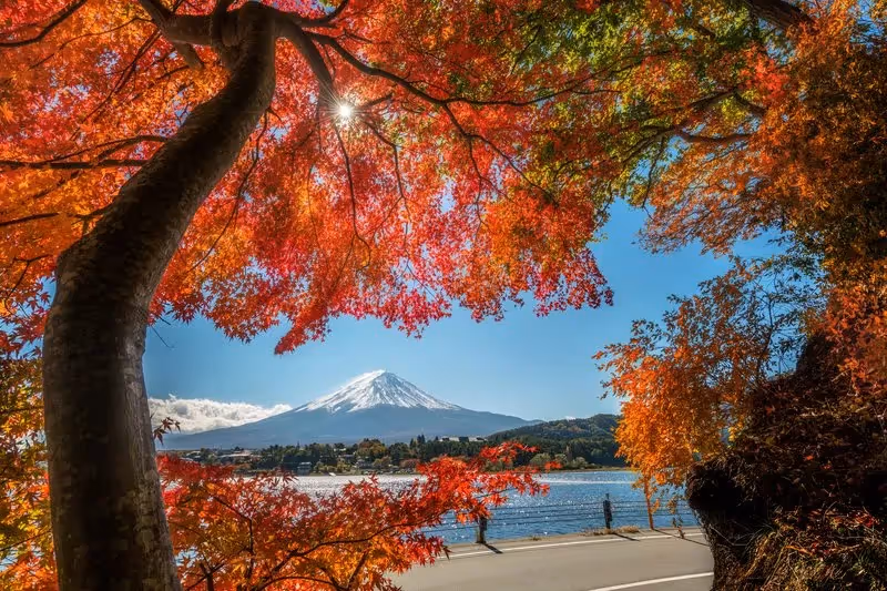 Vue du mont Fuji encadrée de feuillage rouge orangé au bord du lac Kawaguchi