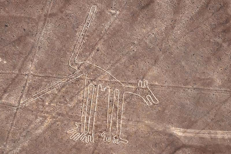 Vue aérienne d’une géoglyphe représentant un animal parmi les lignes de Nazca.
