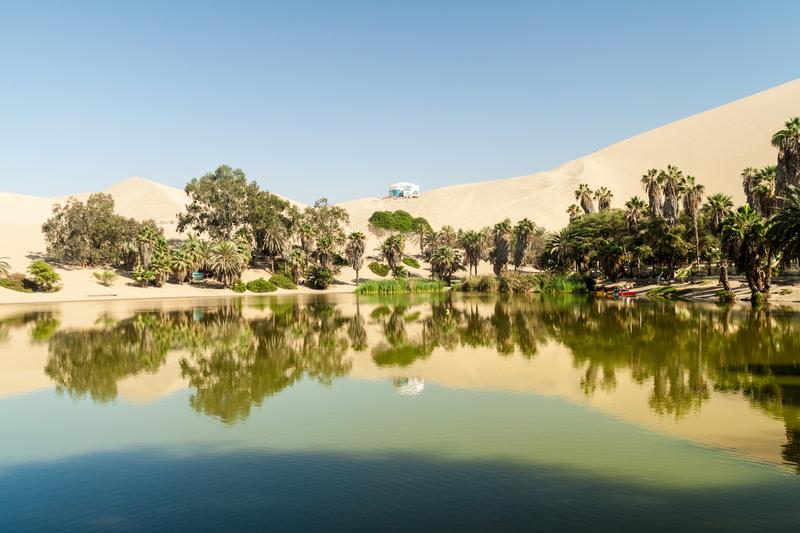 La lagune de Huacachina entourée de palmiers et de dunes dorées.