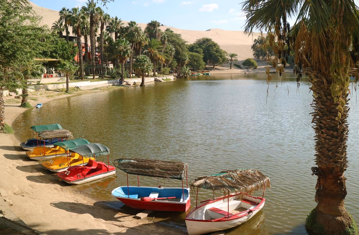 Barques colorées alignées au bord de la lagune de Huacachina, entourée de palmiers et de dunes, Pérou