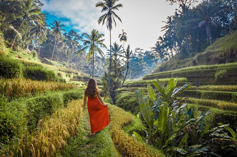 Touriste marchant dans les rizières en terrasses de Bali
