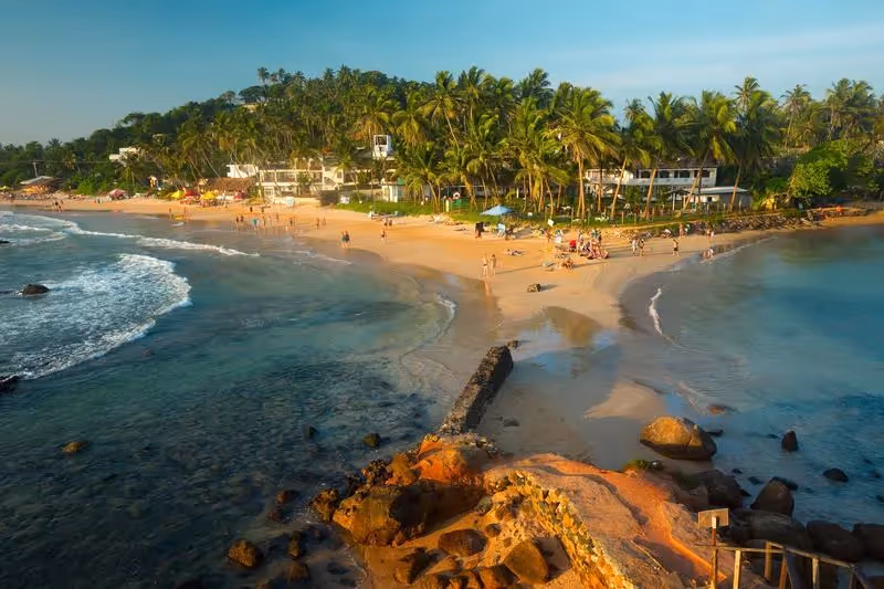 Plage animée au Sri Lanka avec cocotiers et sable doré