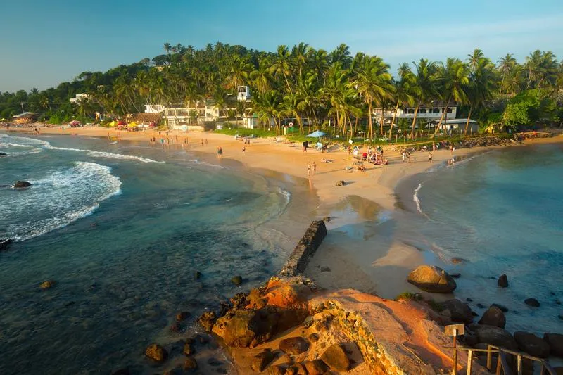 Plage animée au Sri Lanka avec cocotiers et sable doré