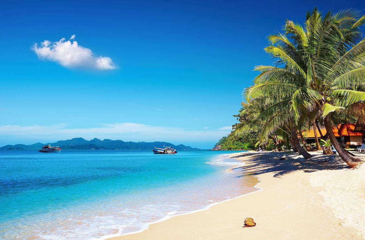 Plage paradisiaque bordée de palmiers à Koh Samui en Thaïlande, sable fin et eau turquoise.